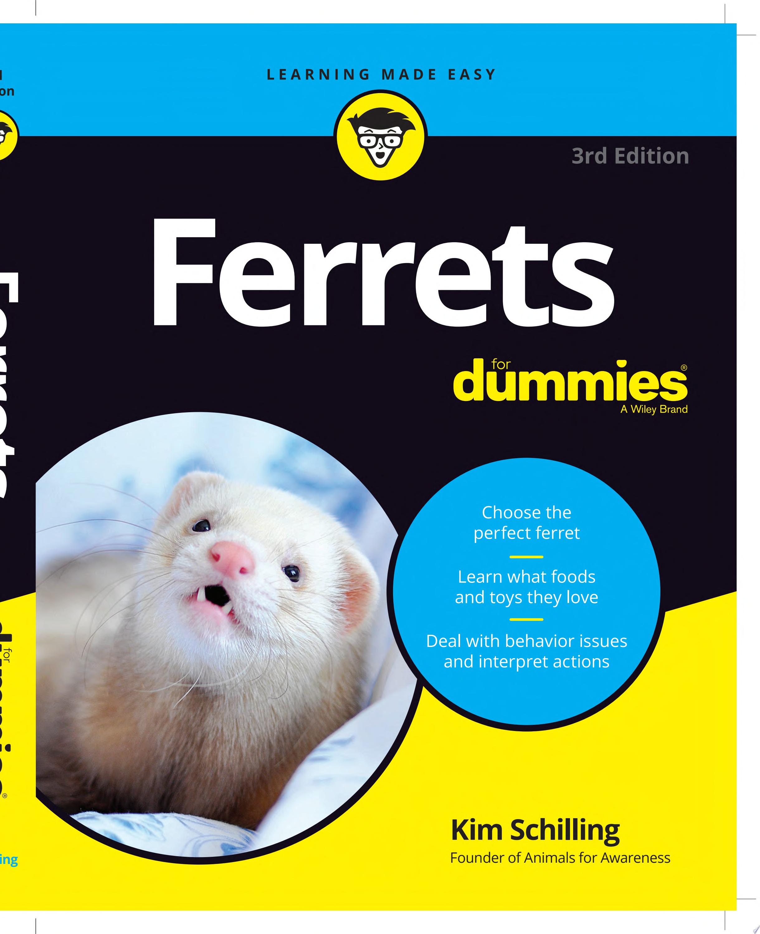 Image for "Ferrets For Dummies"