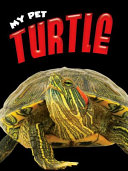 Image for "Turtle"