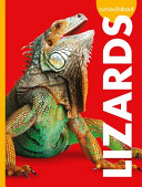 Image for "Curious about Lizards"